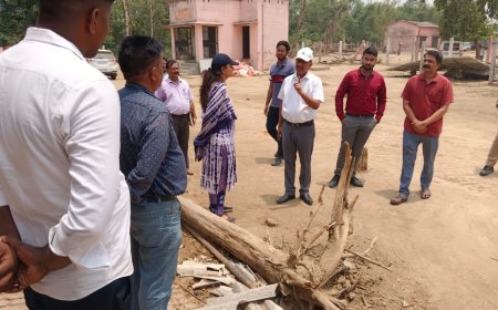 जिलाधिकारी द्वारा कोप जंगल स्थित गौ संरक्षण केंद्र का किया गया निरीक्ष