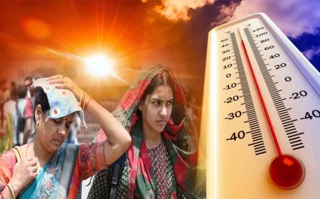 गर्मी के तांडव ने दिल्ली में मचाया कोहराम, 42  डिग्री पहुंचा पारा , हीट स्ट्रोक से 7 की मौत