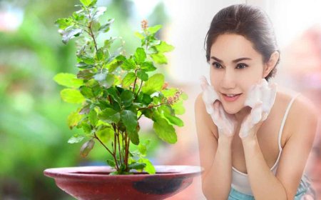 तुलसी से बने फेस पैक से मिलेगा खूबसूरत निखार, जाने इसका पूरा राज ?