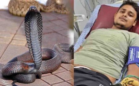 एक ही सांप ने 7 बार युवक को  डंसा, सपने में बोला नौवीं बार  में होगा मौत