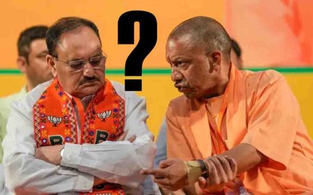 बीजेपी के ख़राब प्रदर्शन को लेकर बड़ा बखेड़ा,आखिर क्या चाहता है हाई कमान