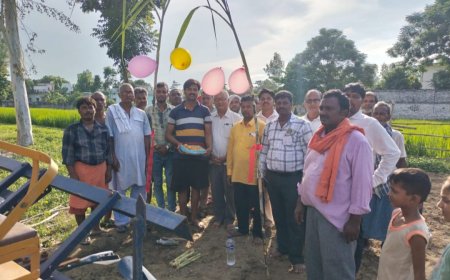 हर घर बीज नर्सरी योजना के तहत गन्ने की हुई बुवाई!