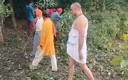 अभय प्रताप के नेतृत्व में चला सफाई अभियान 